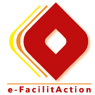 logo e-facilitaction